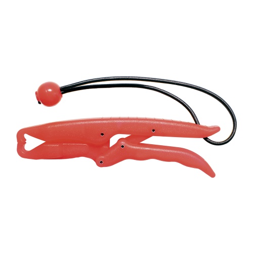 Захват Easy Crip