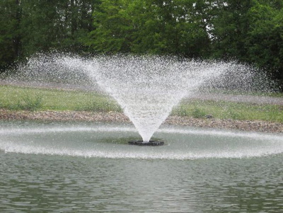 Фонтан в садовом пруду – проектируем и создаем водный оазис + 69 фото