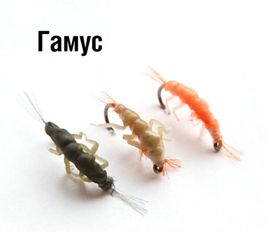 Гаммарус