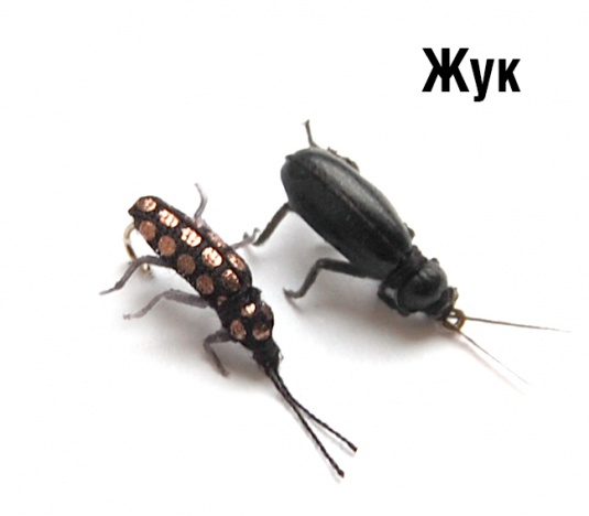 Жук