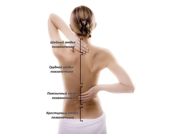 Боль должен лечить врач Проблемы со спиной — дело специалиста