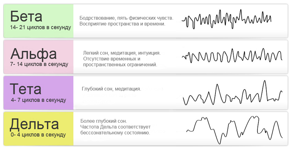 Частота работы мозга